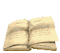 book_page_flip_md_clr.gif
