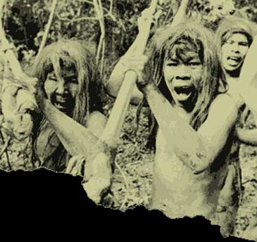cannibal_front_image.jpg