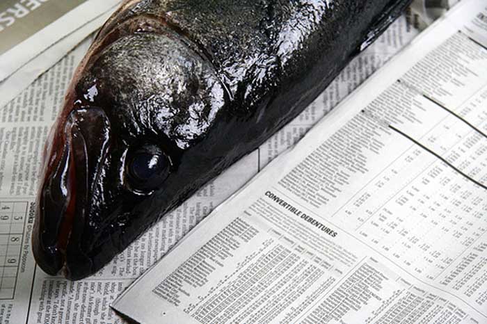 fish_in_newspaper_copy.jpg