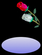 roses020.gif