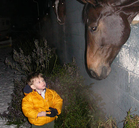 hay_is_for_horses_huge.jpg