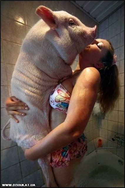 russian_girl_pigs.jpg