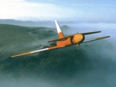 ababil_234.jpg