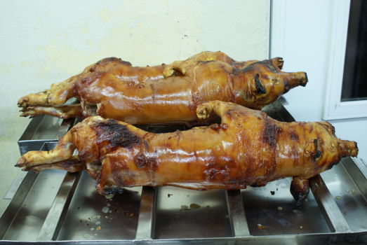 roasted_pig.jpg