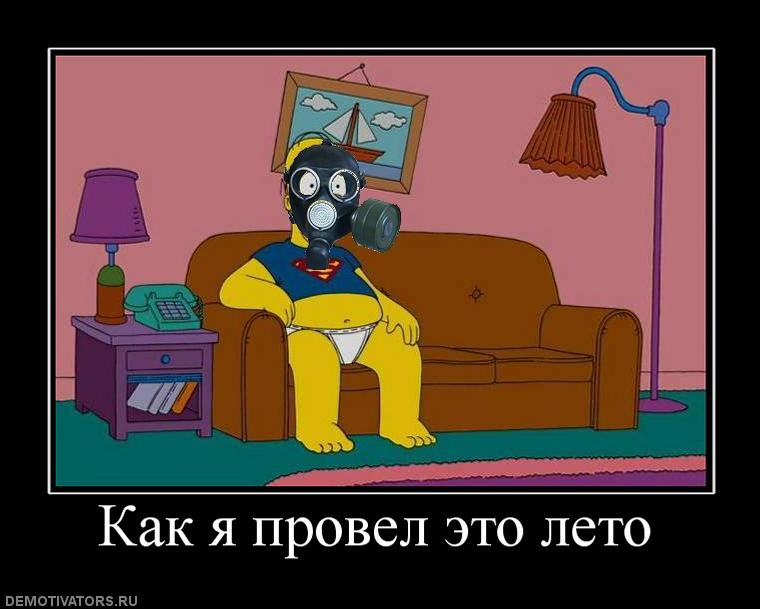 565597_kak_ya_provel_eto_leto.jpg