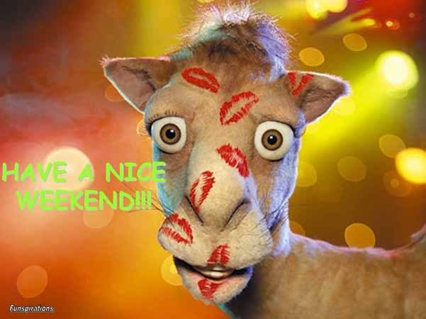 niceweekend.jpg