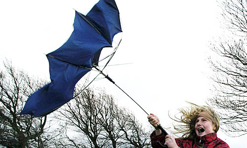 sturm_ap20080226113410.jpg