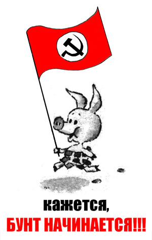 bunthhkhk.jpg