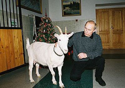 vladimir_putin_with_animals_12.jpg