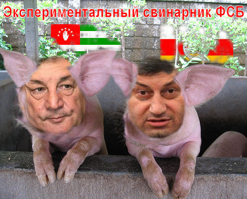 Bagapsh_and_kokoity.jpg