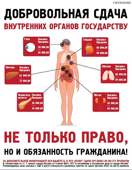 Сколько стоит почка ответ. Сколько стоят органы. Какие органы можно продать. Сколько стоят органы человека. Расценки на органы человека в России.