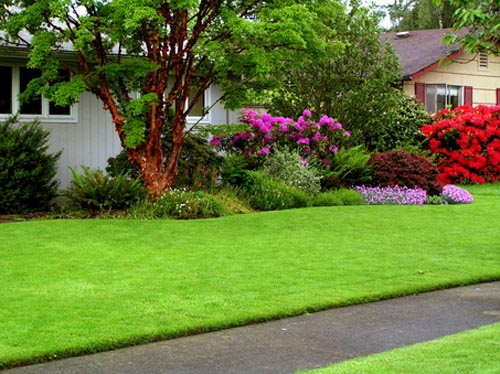 Freshen_house_with_green_garden.jpg