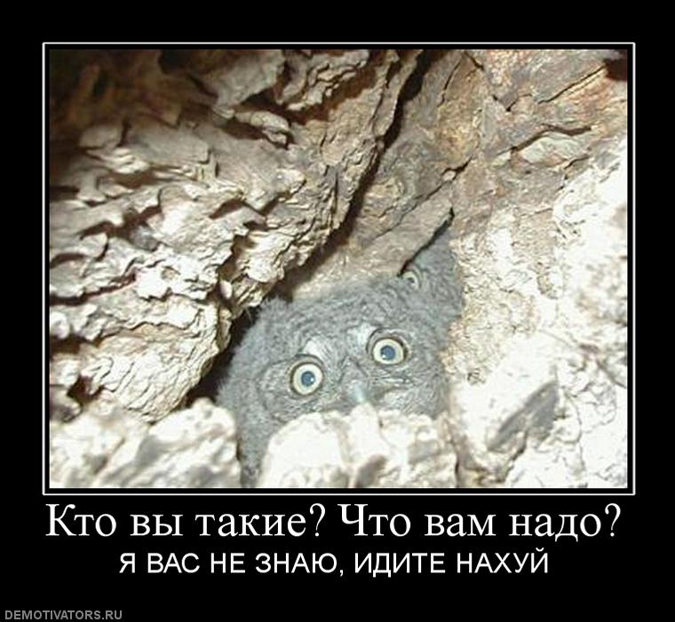 720279_kto_vyi_takie_chto_vam_nado.jpg