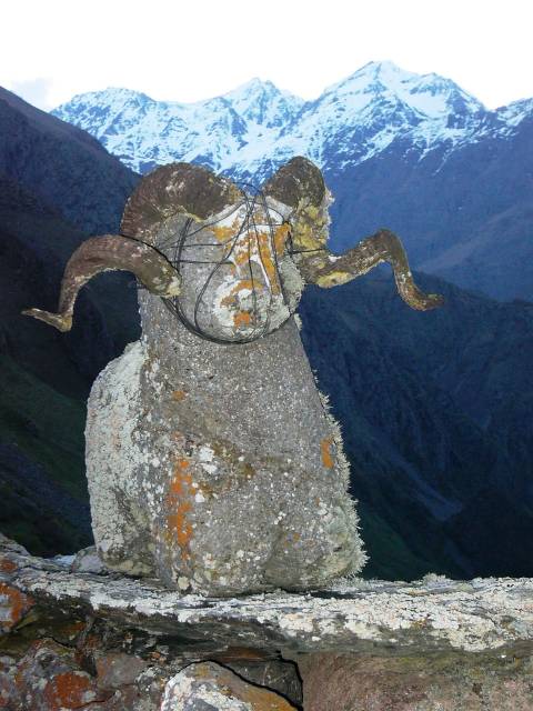 cdovelebis_salocavi.jpg