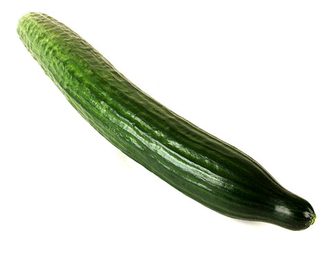 cucumber.gif.jpg