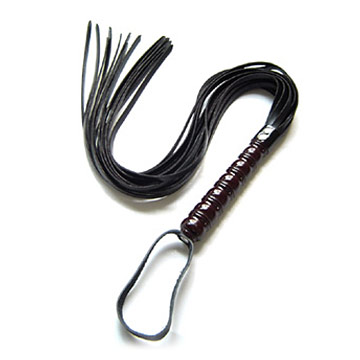sexy_whip.jpg
