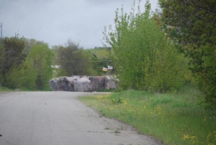 DSC_0530.JPG