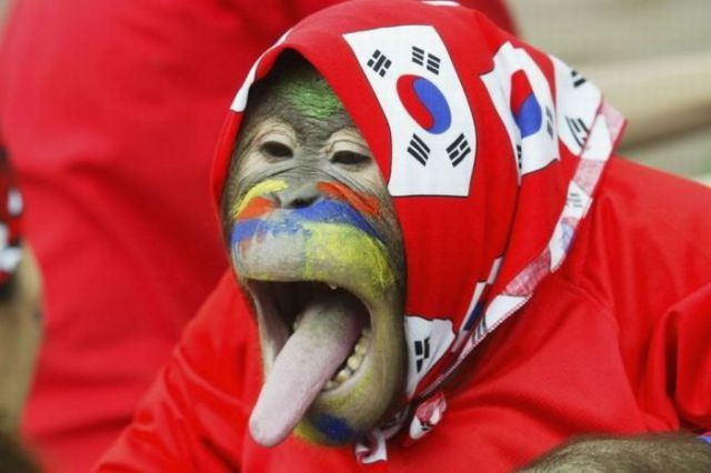 funny_world_cup_640_22.jpg