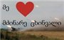 9abdccb2b3f6.jpg