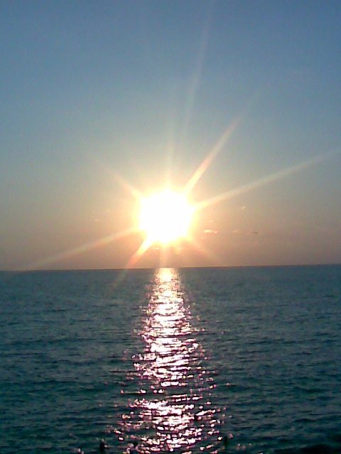 Picture_022.jpg