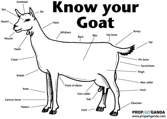 goat_know_your_goat.jpg