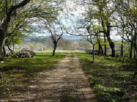 imereti.jpg