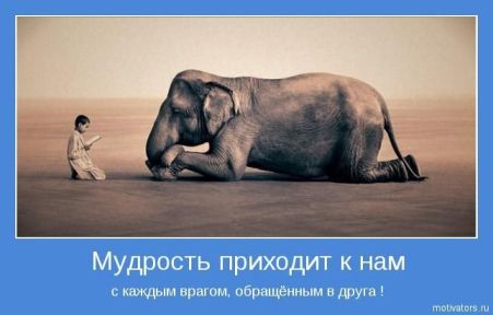 motivatp.jpg