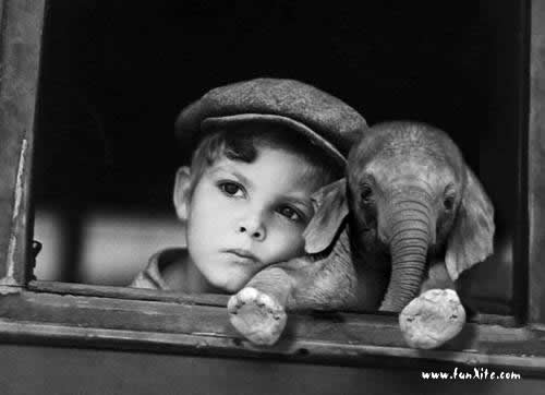 8992_boy_n_baby_elephant.jpg