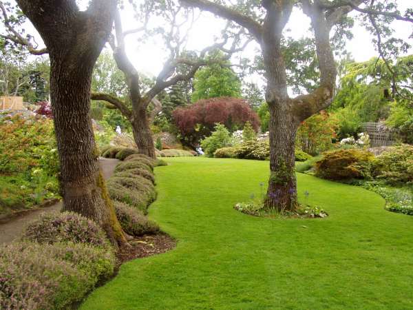 abkhazi_garden_lawn.jpg