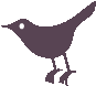 profile_bird.png