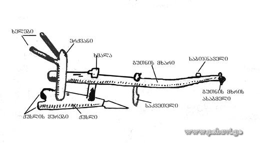 gutani.jpg