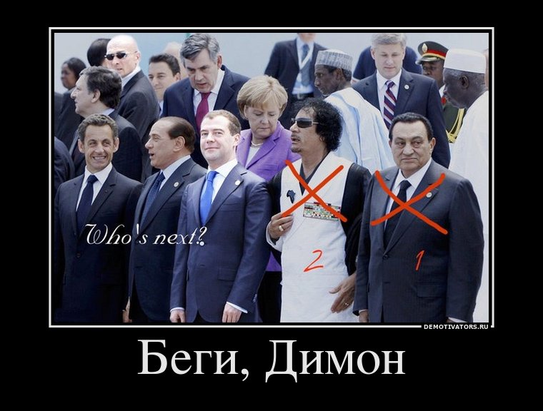 543694_begi_dimon.jpg