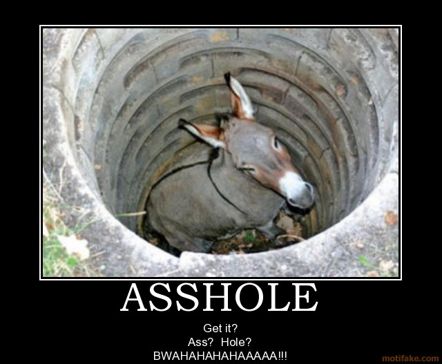 asshole_ass_hole_asshole_donkey_demotivational_poster_1247087411.jpg