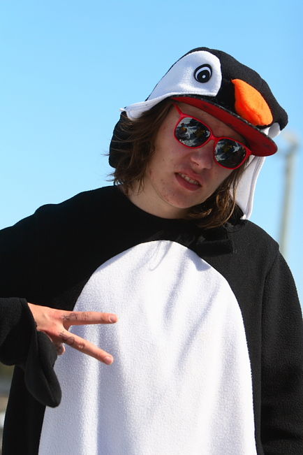 normal_penguin.jpg