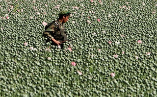 afghanistan1.jpg