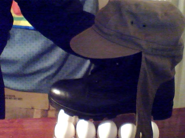 Picture_004.jpg