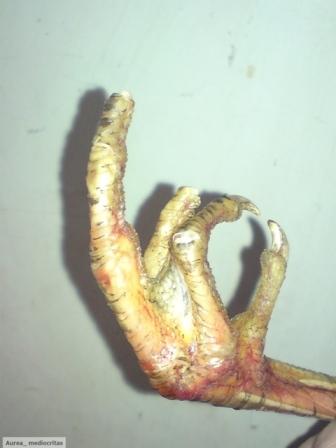 image_1.jpg