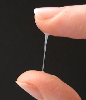 300px_Cervical_mucus1.jpg