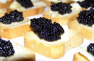 voce_sabe_caviar_250308.jpg