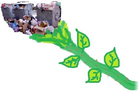Untitled.jpg