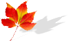 leaf_small.gif