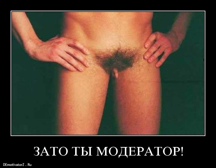 zato_ty_moderator_797_demotivatorz.ru.jpg