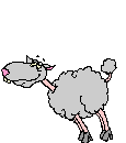 a_schaf14.gif