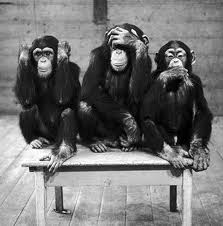 monkeys.jpg