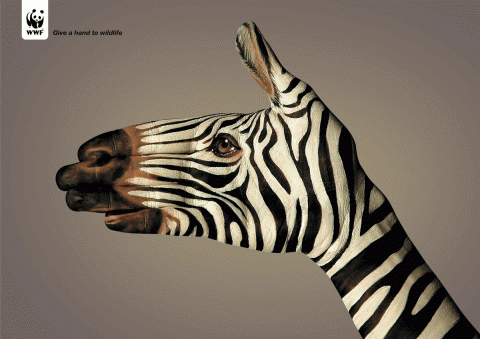WWF2.gif