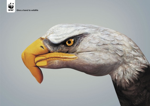 wwf_reklama_arwivi.jpg