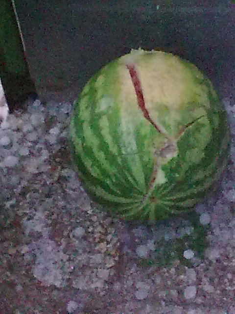 ________18101.jpg