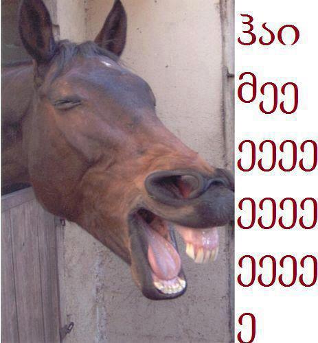 563770_264163547004854_184955014925708_603514_744269794_n.jpg