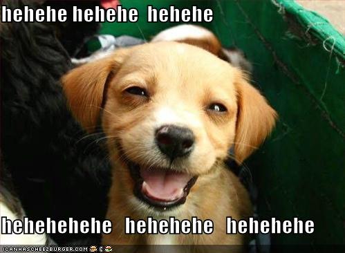 heheheheheheh128586648214508736.jpg
