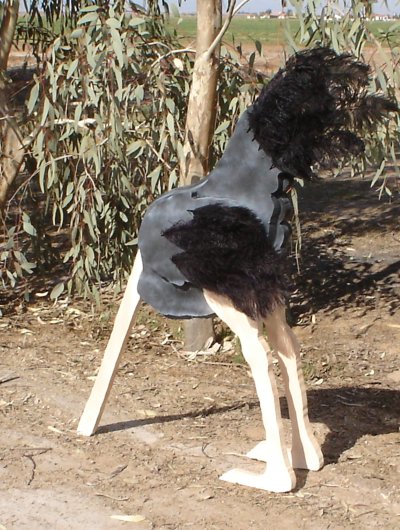 ostrich.jpg